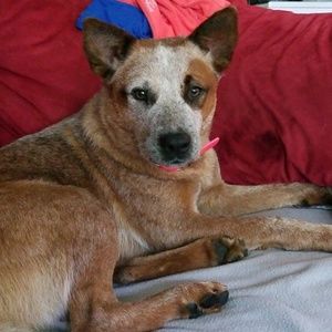 Meet your Posher, Michelle